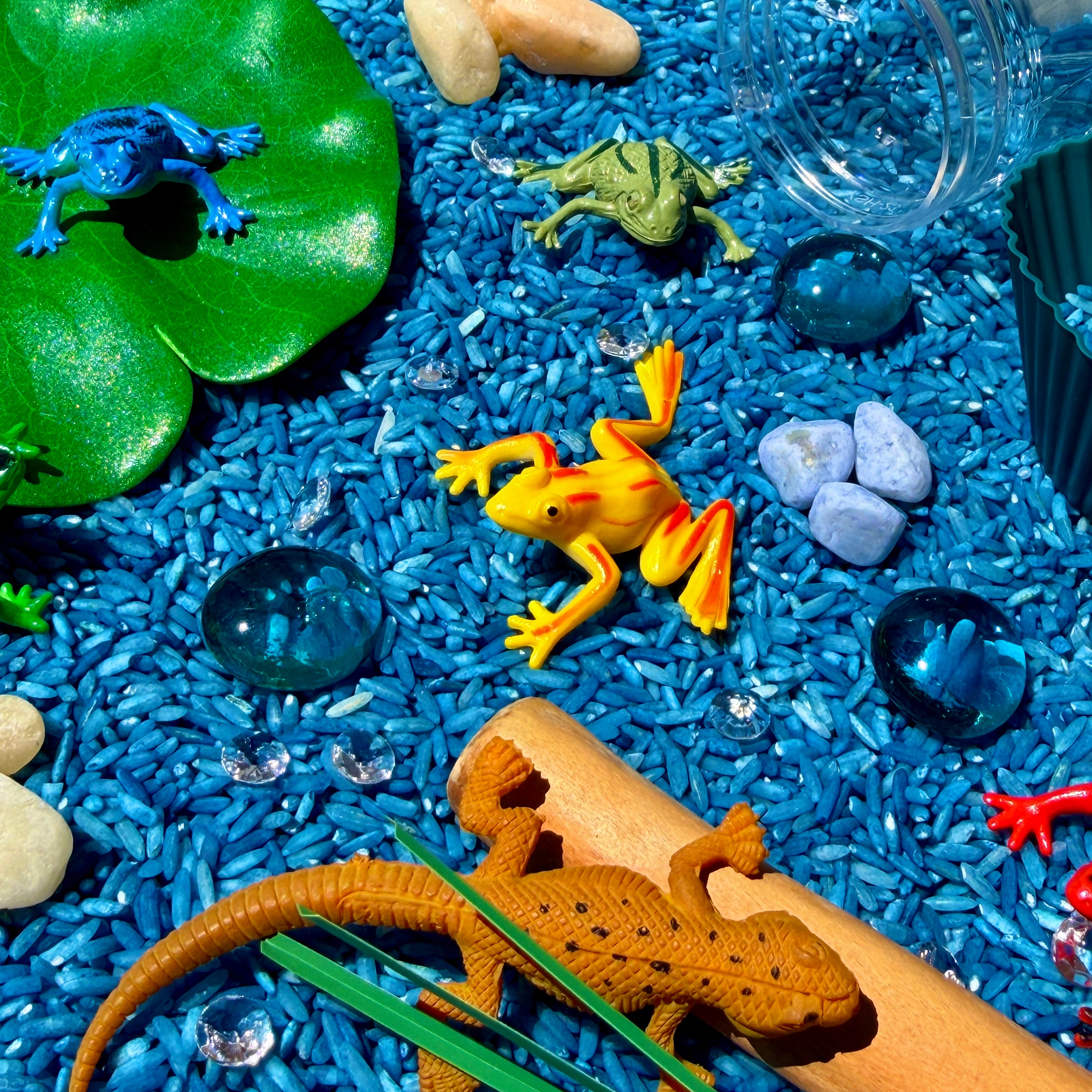 Frogs