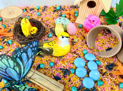 Birds