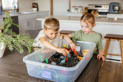 Large Sensory Bin